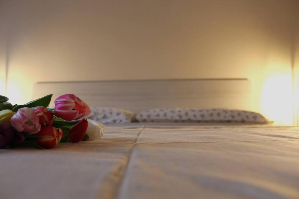 Venere Apartment Bergamo Eksteriør billede